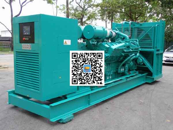 仁和租赁发电机-康明斯发电机性价比还是比较高的